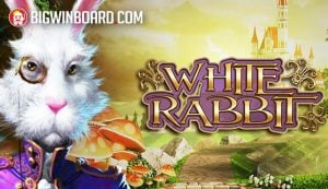 แทง บา คา ร่า สนุกลุ้นเงินมหาศาลกับ NetEnt